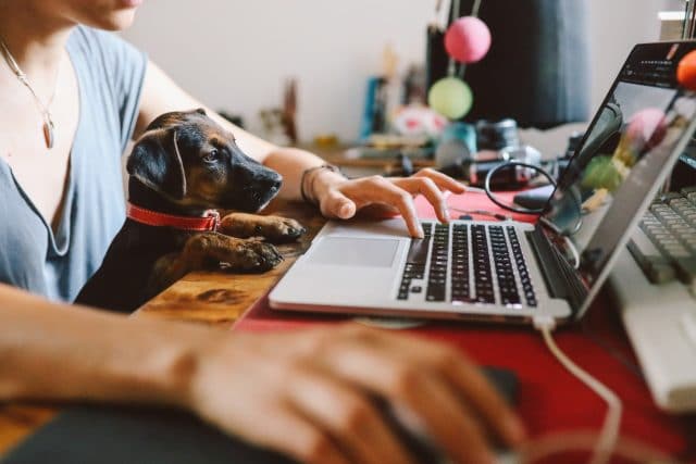 woman working at home with her pet puppy
