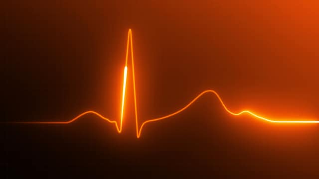 Visual Representation of a pulse on a heart rate monitor
