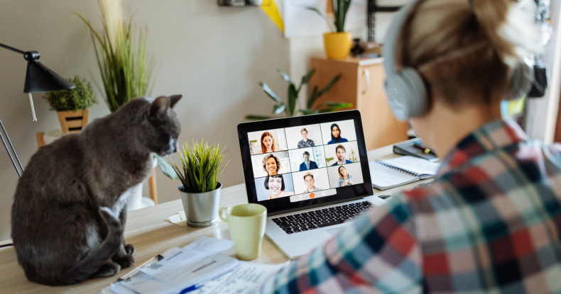 woman at home teleconferencing with colleagues while cat is on the desk