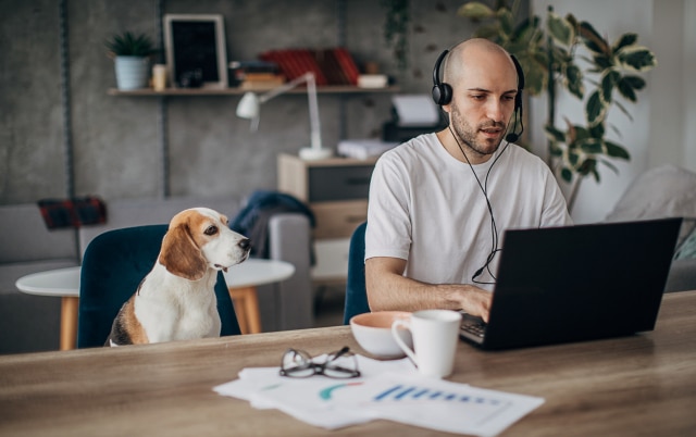man working on laptop at home his pet dog is next to him on chair